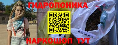 гашик Малоярославец