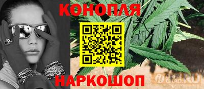гашик Малоярославец
