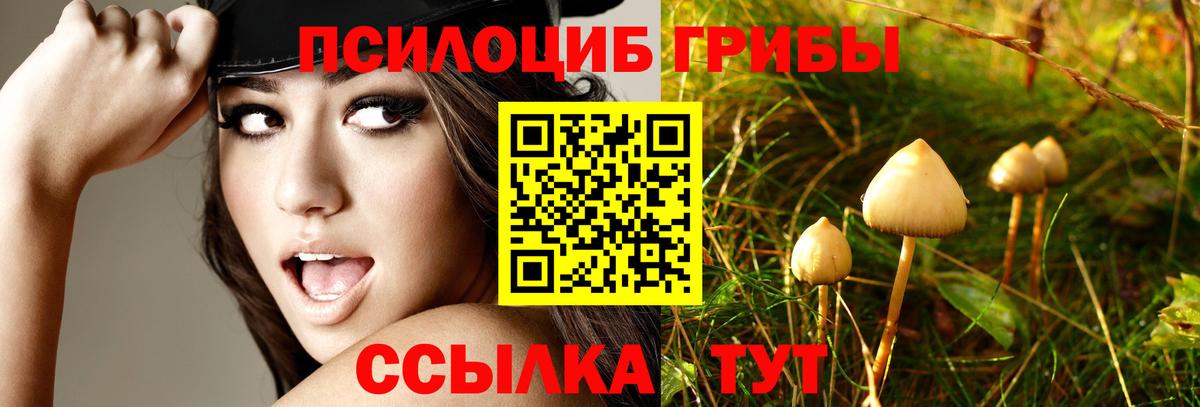 Псилоцибиновые грибы ЛСД Бузулук